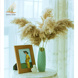 pampas grass decor plants home wedding decor dried flowers bunch feather flowers natural phragmites tall 20-22‘’ plastic vase