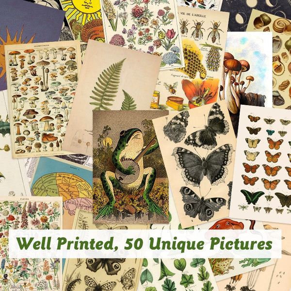 50Pcs Vintage Botanical tarot Aesthetic Wall Collage Kit Flora & Fauna Insects Illustration Art Posters Card Bedroom Decor Girls