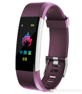 Smart Wristband Fitness Watch