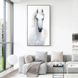 Nordic Style White Horse Canvas White Poster Print Modern Wall Art Pictures