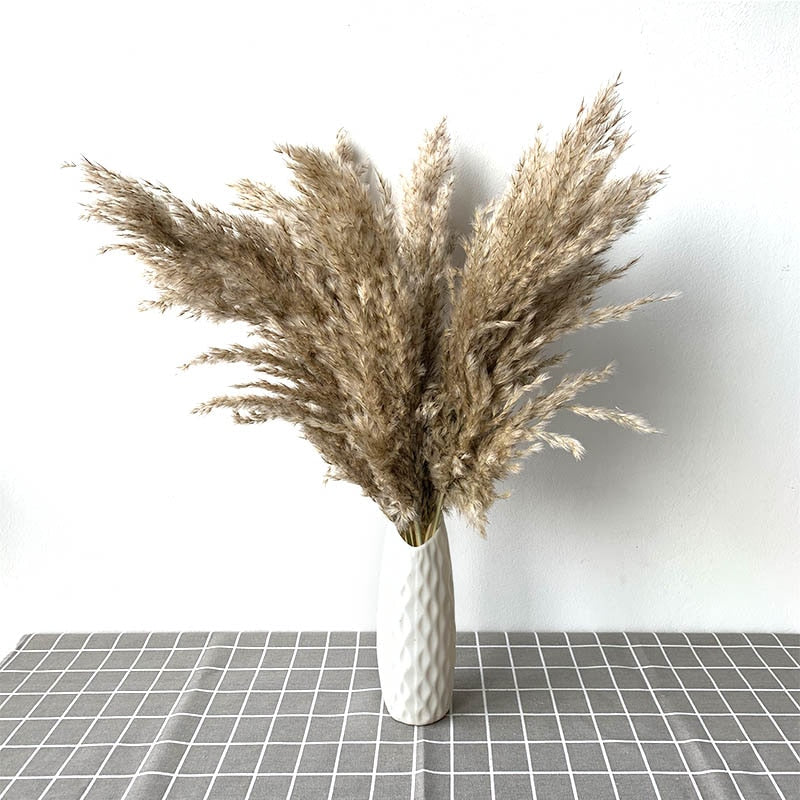 pampas grass decor plants home wedding decor dried flowers bunch feather flowers natural phragmites tall 20-22‘’ plastic vase