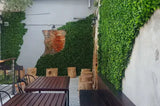 Jasmine Artificial Green Wall 40" x 40" 11SQ FT UV Resistant