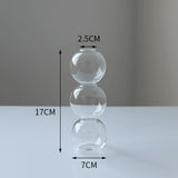 Transparent Flower Vase