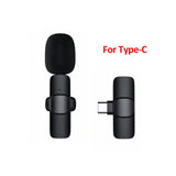 Wireless Portable Microphone