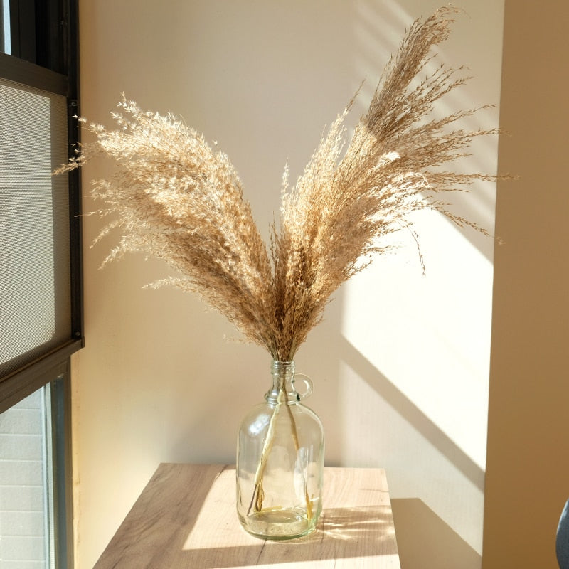 pampas grass decor plants home wedding decor dried flowers bunch feather flowers natural phragmites tall 20-22‘’ plastic vase