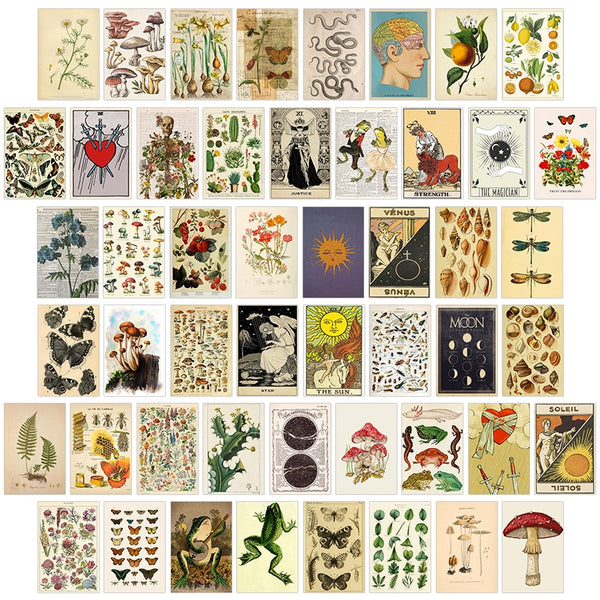 50Pcs Vintage Botanical tarot Aesthetic Wall Collage Kit Flora & Fauna Insects Illustration Art Posters Card Bedroom Decor Girls