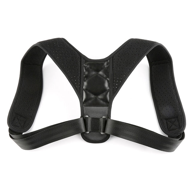 Back Support Belt