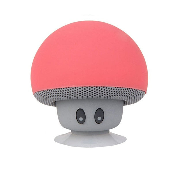 Mini Bluetooth Speaker